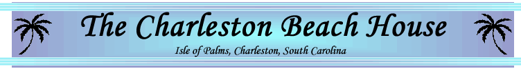 The Charleston Beach House